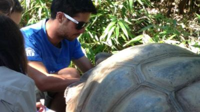 Selleys Araldite Helps Wilbur The Giant Tortoise