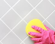 Black Mould Removal