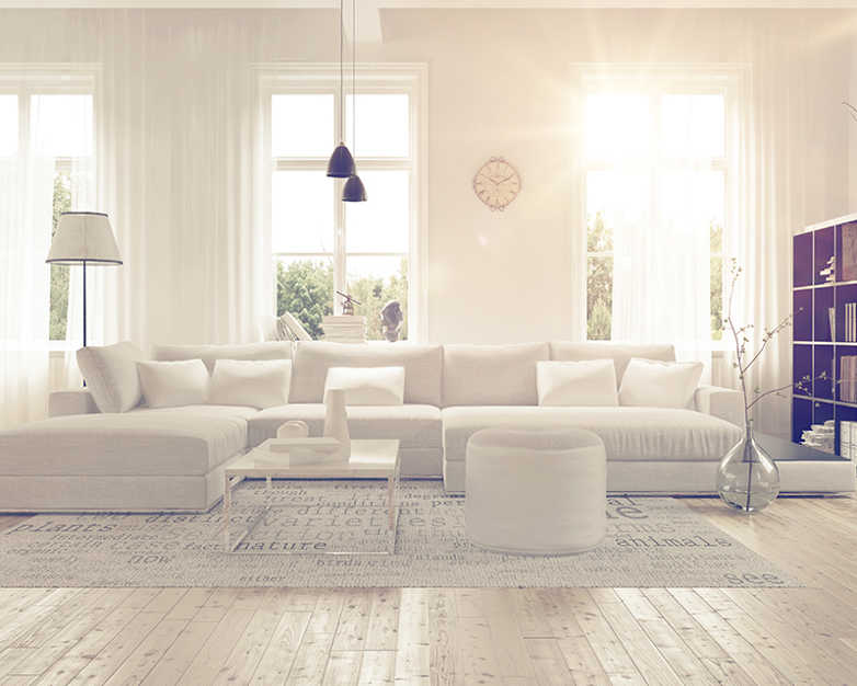 Top 5 Sugar Soap Hacks Selleys