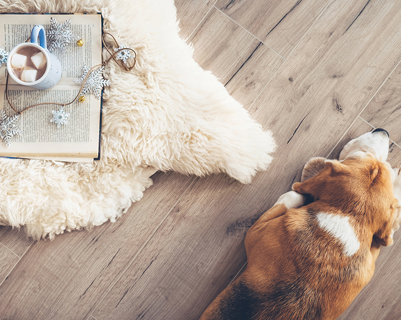 How To Silence Squeaky Floor Boards Selleys