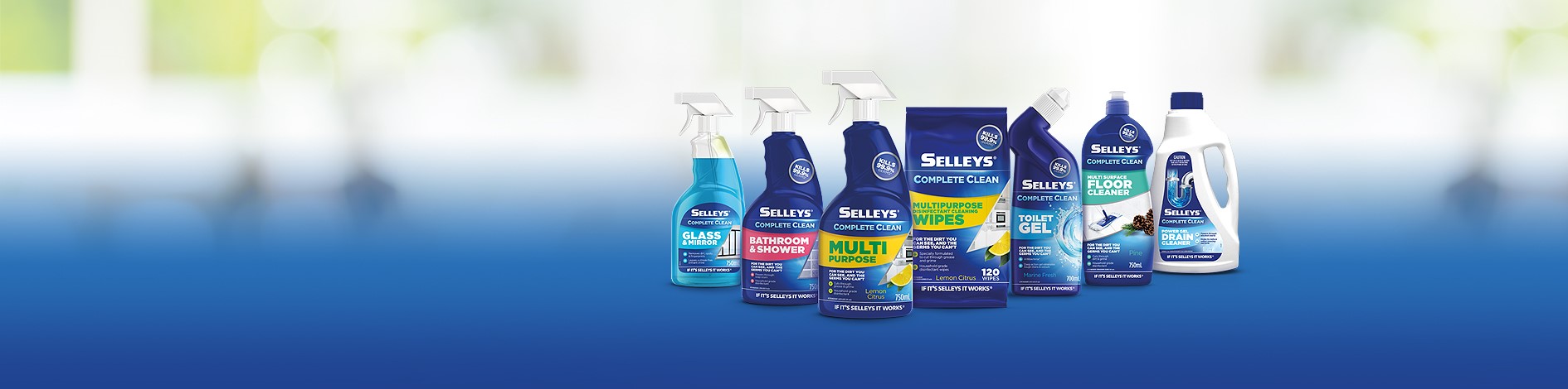 Selleys Complete Clean