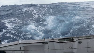 Selleys Knead It Comes To The Rescue