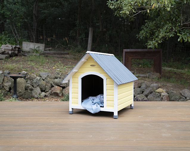 How To Transform a Kennel Into a Pooch Palace